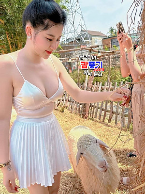 카지노 즐기러간 베트남-캄보디아 국경 카지노 도시 바벳에서 만난 귀여운 염소